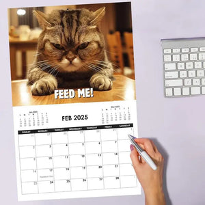 Cat Calendar 2025 Angry Kitten Calendar For Home Fun Month 2025 Planner Calendar Creative Cute Kitten 2025 Wall Art Calendar