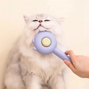 Pet Brush One Button Cleaning Brush Magic Beauty