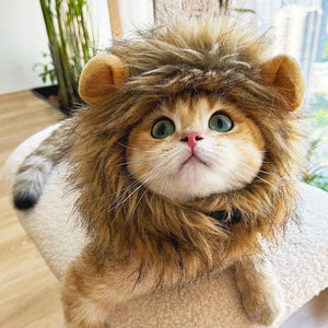 TONG Cat Costume Lion Mane Cat Wig Hat