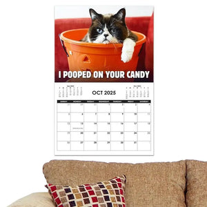 Cat Calendar 2025 Angry Kitten Calendar For Home Fun Month 2025 Planner Calendar Creative Cute Kitten 2025 Wall Art Calendar