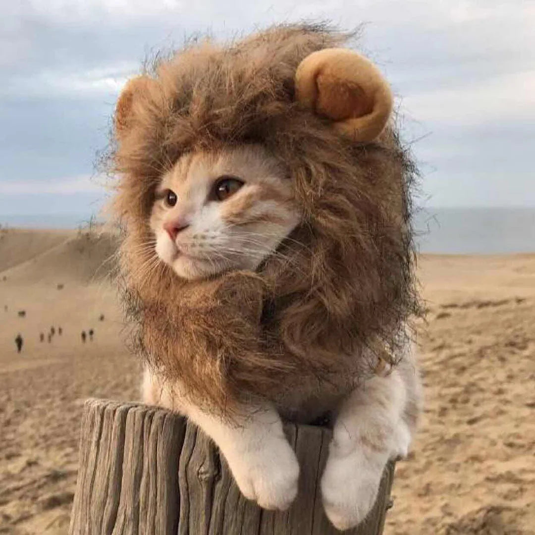 TONG Cat Costume Lion Mane Cat Wig Hat