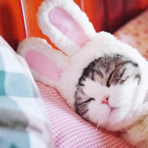 Funny Cat Headgear Cute Rabbit Ears Cap