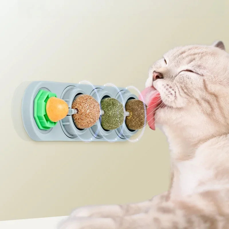 4 in 1 Catnip Toy Funny Lickable Cat Snack Catnip Balls Kitten Playing Chewing Cleaning Teeth Toy Promote Digestion Catnip Toys