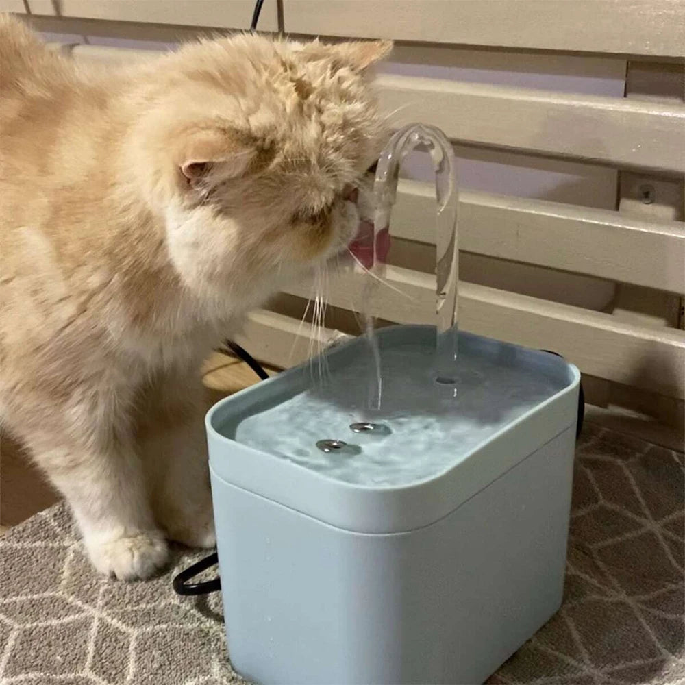 Cat Water Fountain Auto Filter USB Electric