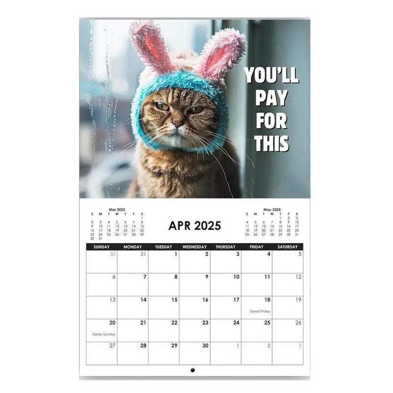 Cat Calendar 2025 Angry Kitten Calendar For Home Fun Month 2025 Planner Calendar Creative Cute Kitten 2025 Wall Art Calendar